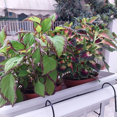 Athens Lovio Apartment מראה חיצוני תמונה